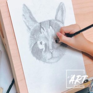 cat pencil sketch